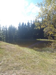 L'etang au parking du Mt Bessou